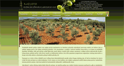 Desktop Screenshot of meloto.com